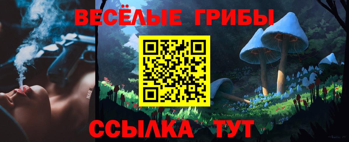 Псилоцибиновые грибы Cubensis  Вход с VPN  Петровск 